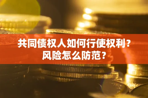 北京共同债权人如何行使权利？风险怎么防范？